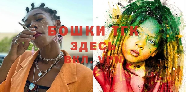 бошки Алексин