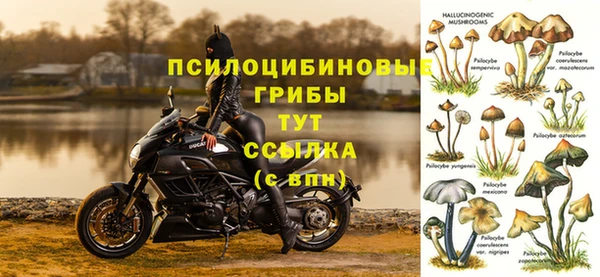 бошки Алексин