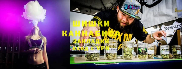 бошки Алексин