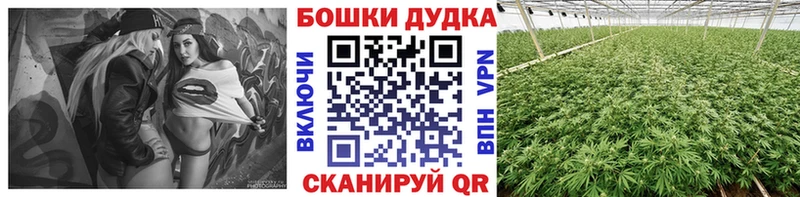 Шишки марихуана AK-47  Саранск 